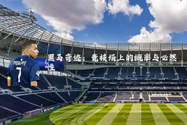 黑马奇迹:竞技场上的概率与必然性